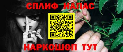 прущие грибы Донецк