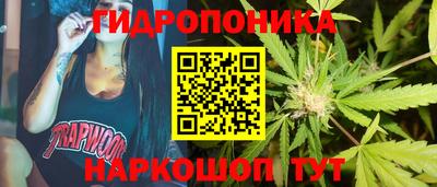 прущие грибы Донецк