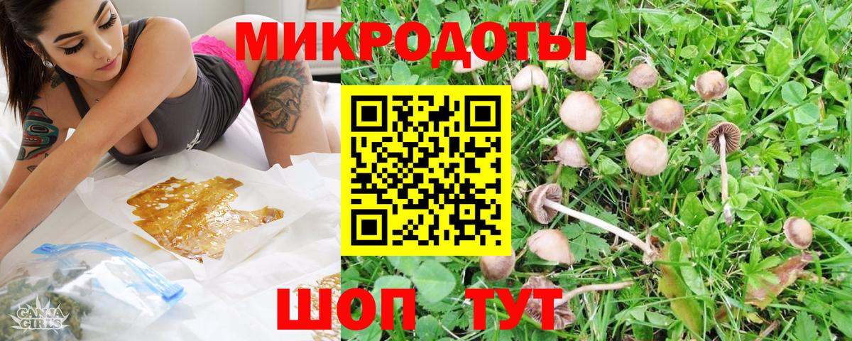 Галлюциногенные грибы Magic Shrooms  Псилоцибиновые грибы Psilocybine cubensis  Вход с VPN  Михайловск 