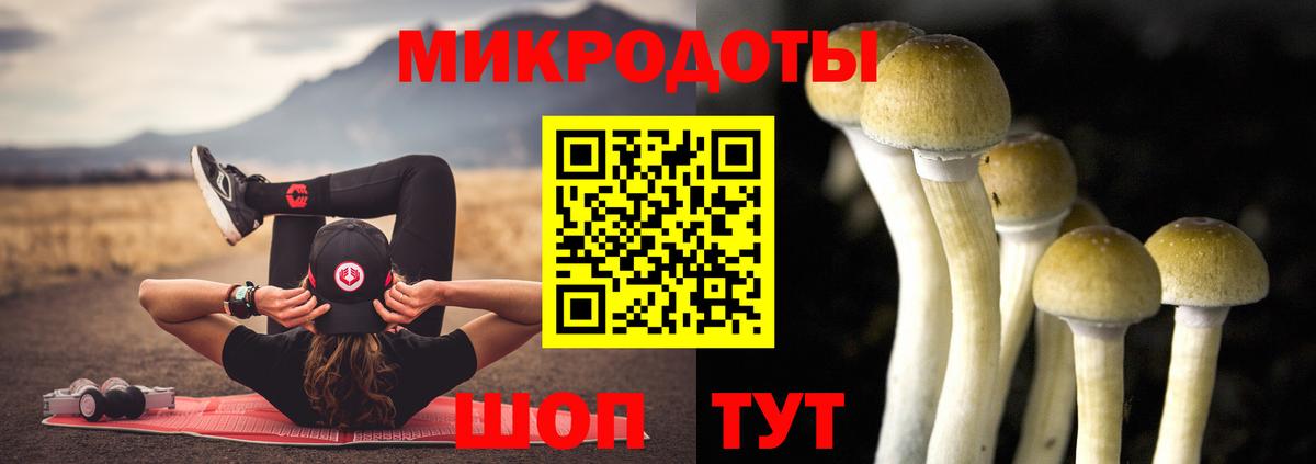 Галлюциногенные грибы Psilocybine cubensis Михайловск